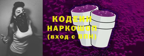 шишки Белокуриха