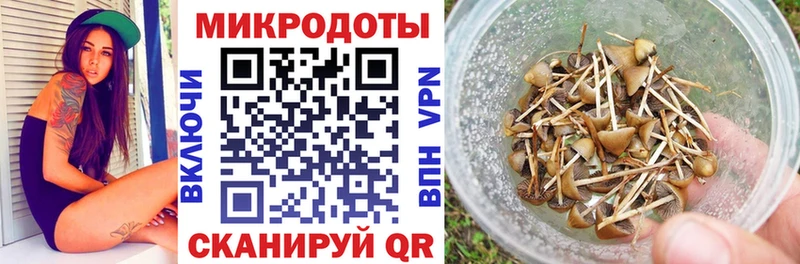 Псилоцибиновые грибы прущие грибы  Бородино 